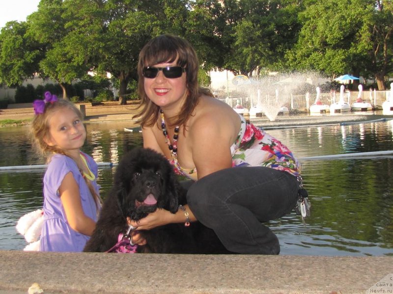 Фото: ньюфаундленд Питерньюф Интерактиве (Piternyuf Interactive)