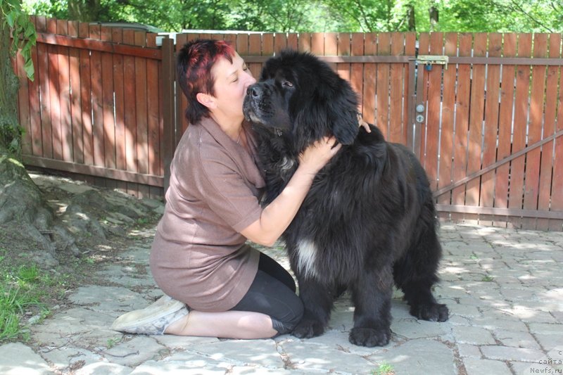 Фотография № 128517