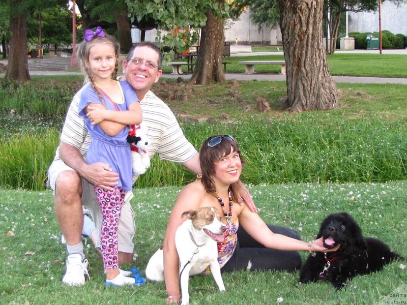 Фото: ньюфаундленд Питерньюф Интерактиве (Piternyuf Interactive)