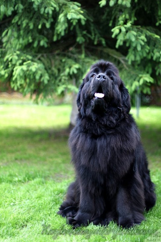 Фотография № 128528