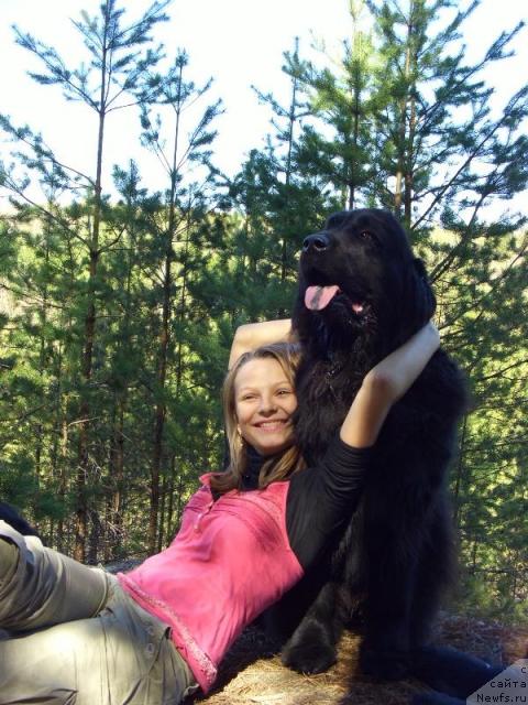 Фото: ньюфаундленд Лесная Сказка Лунная Соната
