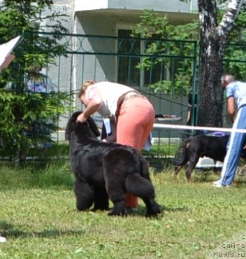 Фотография № 128612