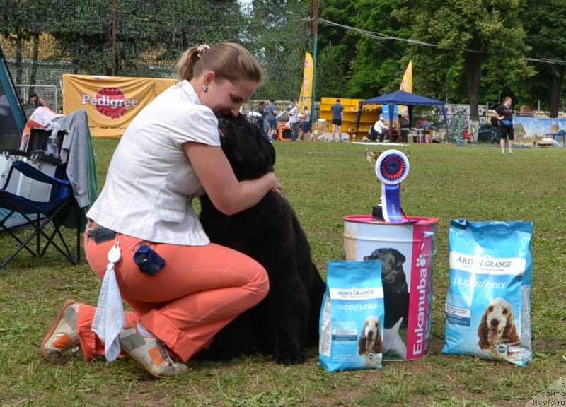 Фотография № 128617