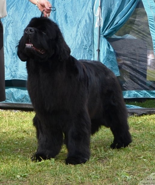 Фотография № 128628