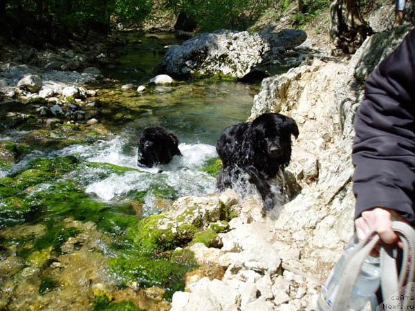 Фотография № 12865