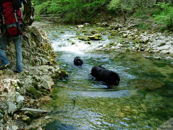 Фотография № 12868