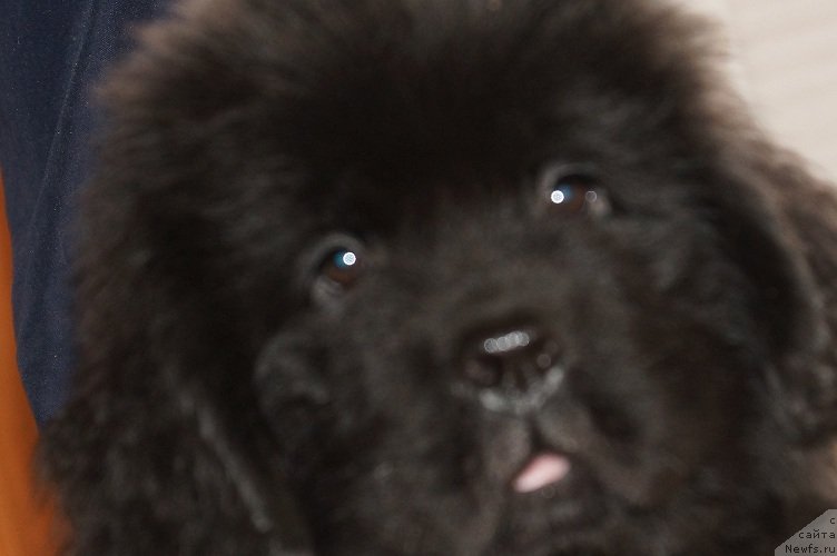 Фотография № 128719