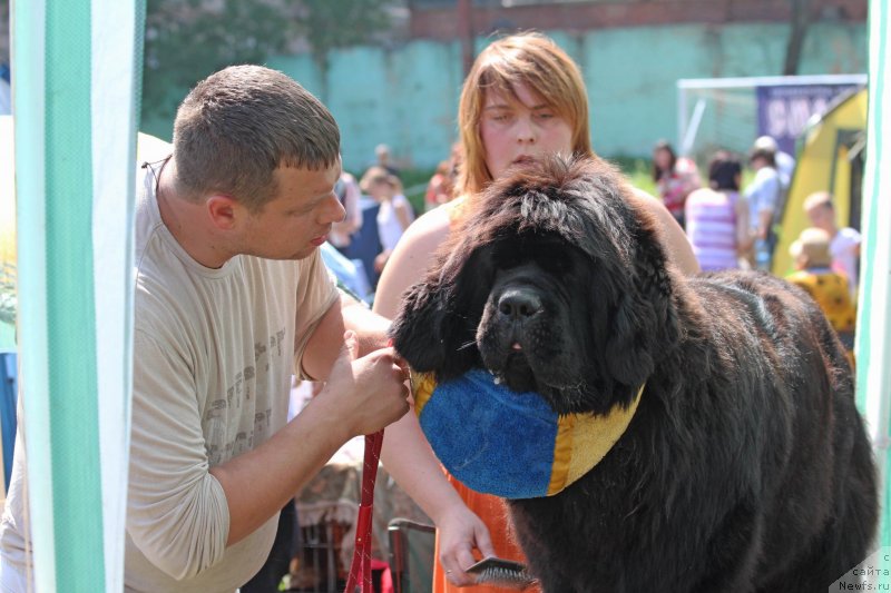 Фотография № 128728