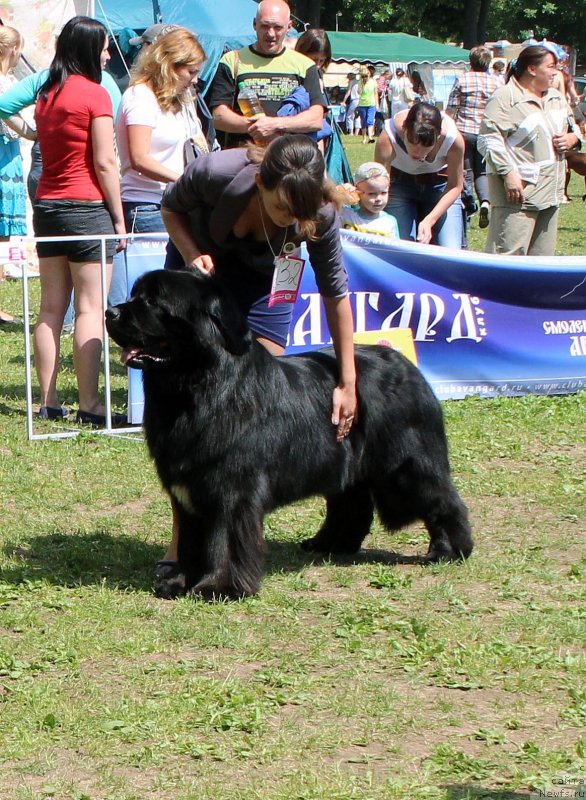 Фотография № 128729