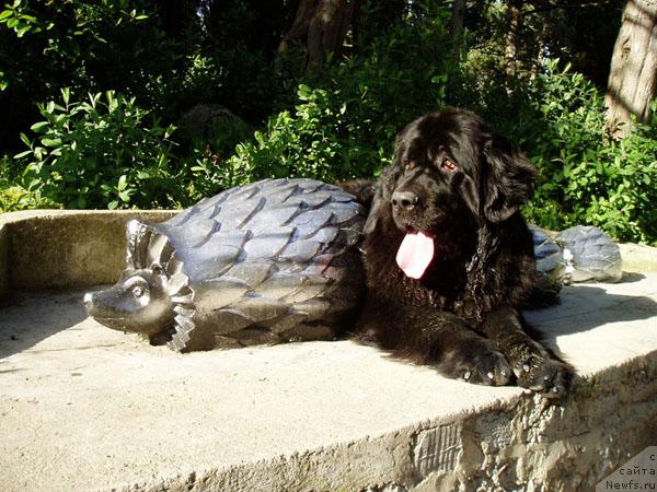 Фотография № 12873