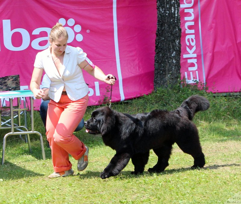 Фотография № 128732