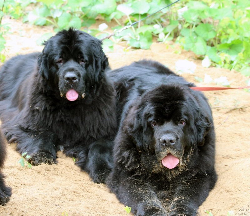 Фотография № 128734