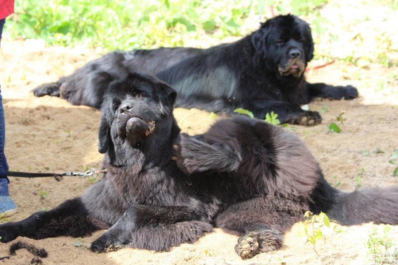 Фотография № 128735