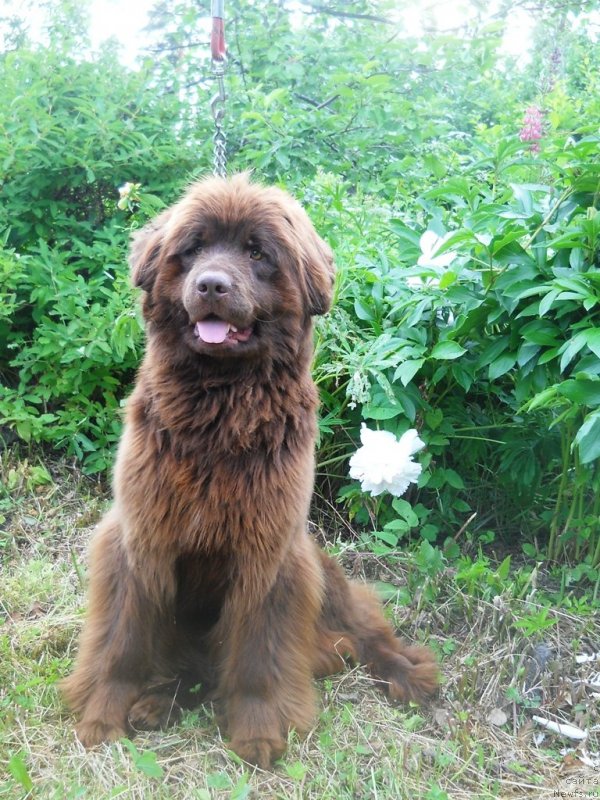 Фотография № 128756