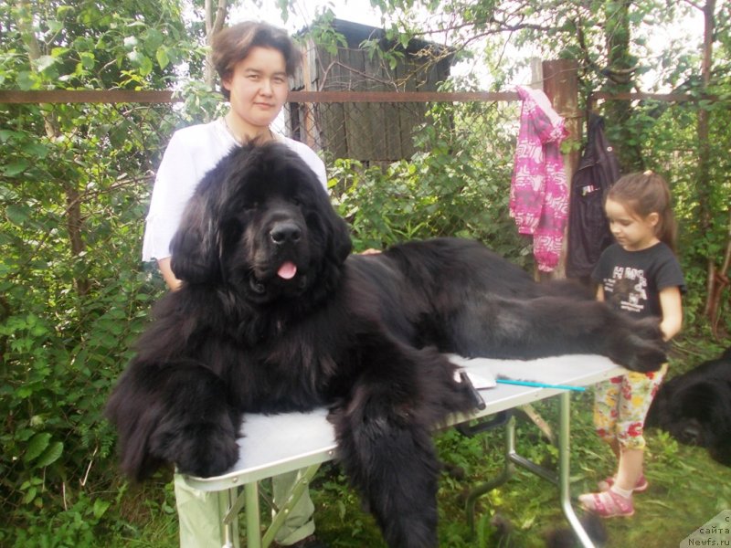 Фотография № 128764