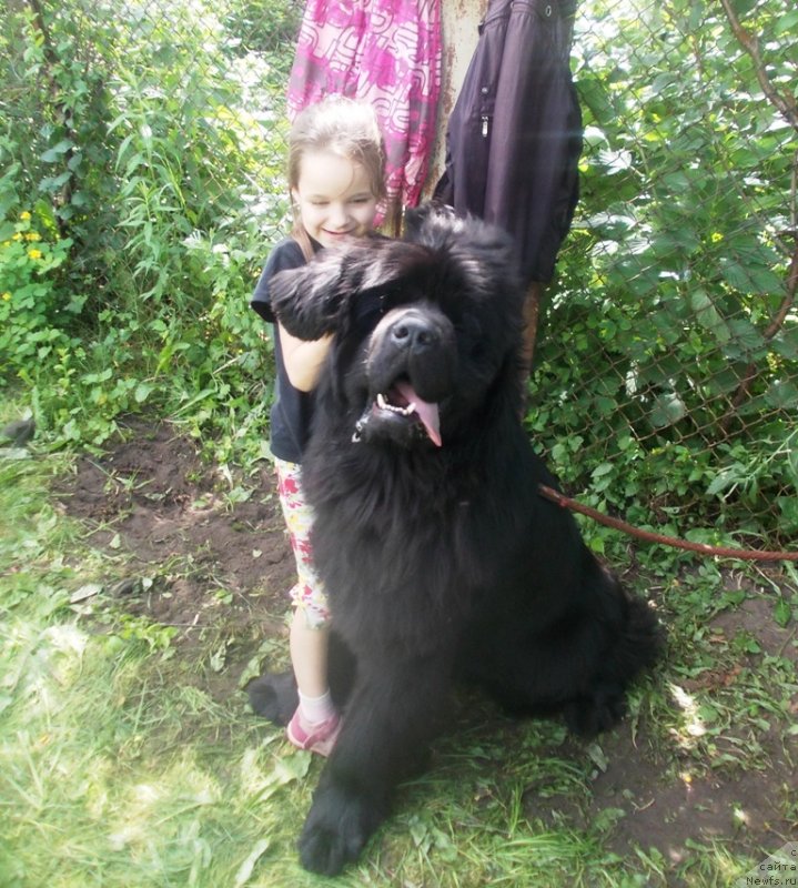 Фотография № 128765