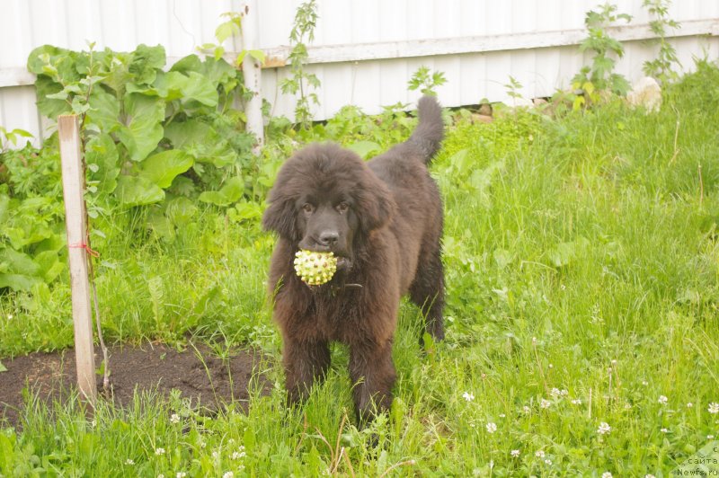 Фотография № 128790