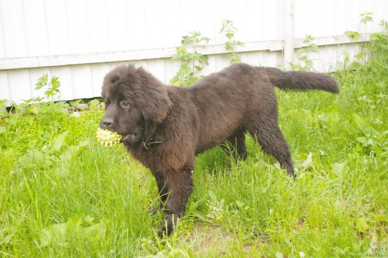 Фотография № 128791