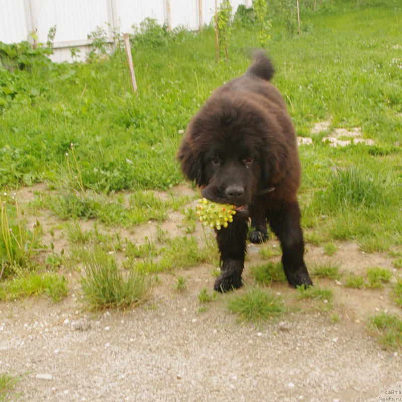 Фотография № 128792