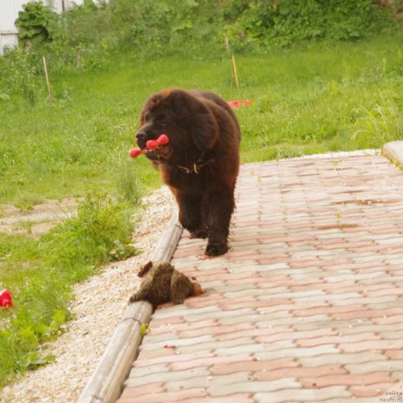 Фотография № 128795