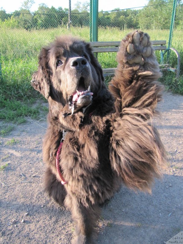 Фотография № 128816