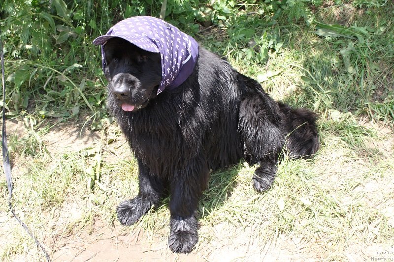 Фотография № 128838