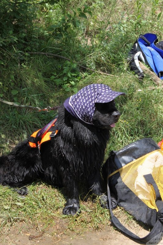 Фотография № 128840