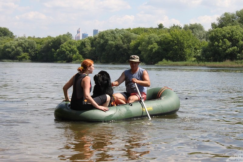 Фотография № 128842