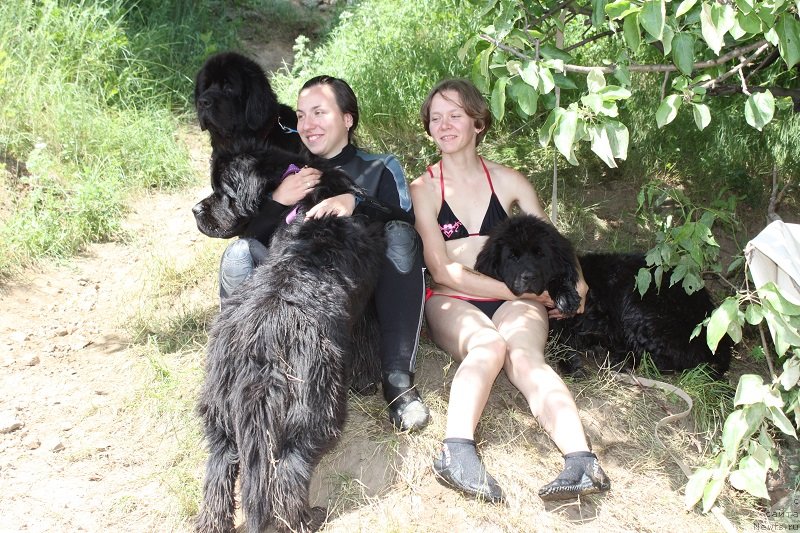 Фотография № 128844