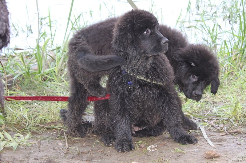 Фотография № 128846