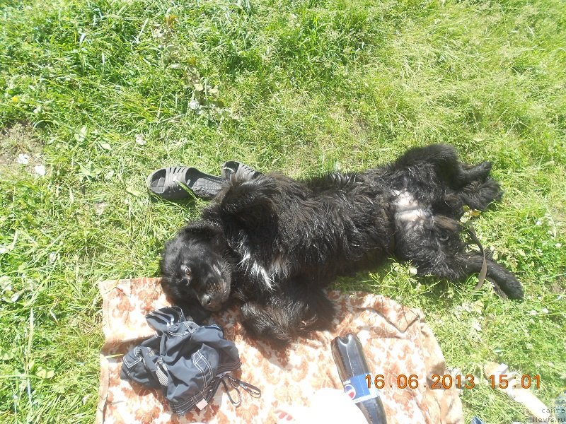 Фотография № 128852