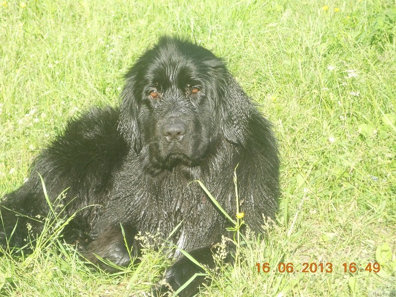 Фотография № 128854