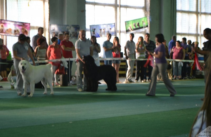 Фотография № 128959