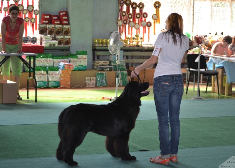 Фотография № 128964