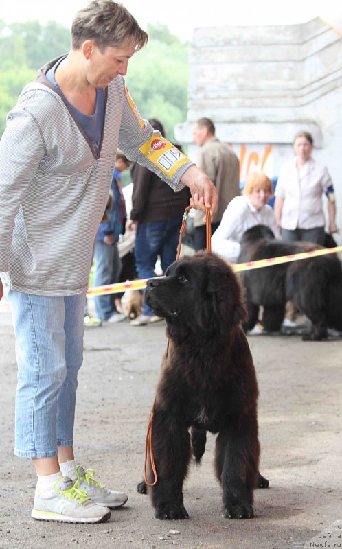 Фотография № 128973