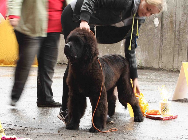 Фотография № 128974