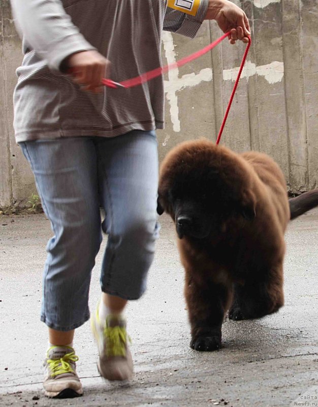 Фотография № 128979