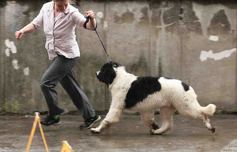 Фотография № 128986