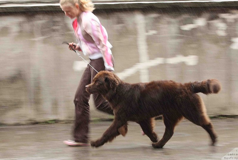 Фотография № 128988