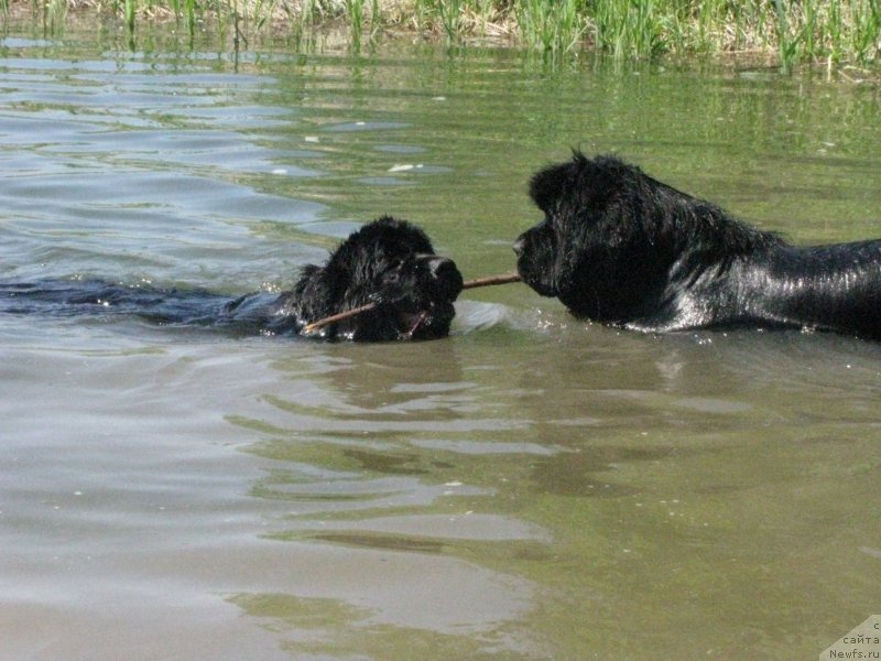 Фотография № 128993