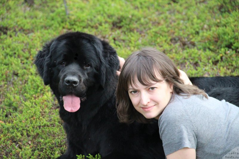 Фото: ньюфаундленд Уютная Долина Блэк Даймонд Велинда (Uyutnaya Dolina Black Diamond Velinda)