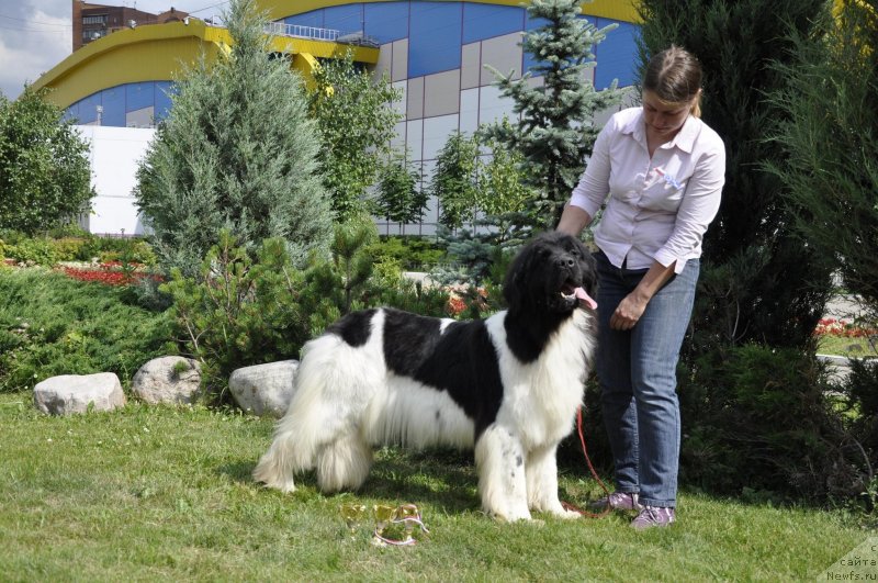 Фотография № 129067