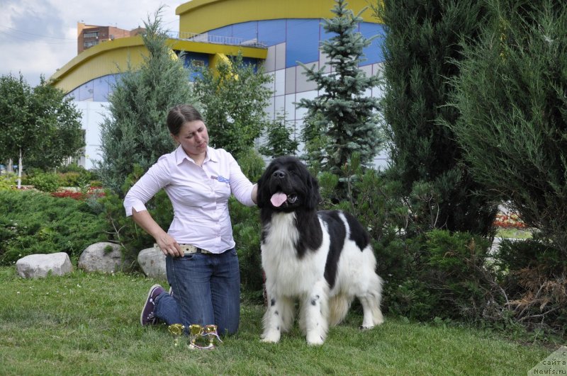 Фотография № 129070