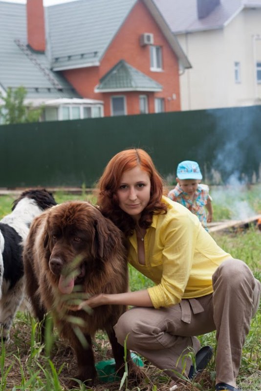 Фото: ньюфаундленд Ван Лен Тайм Женевьева