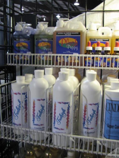 Фотография № 12909