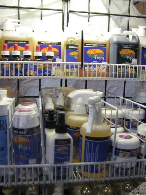 Фотография № 12910