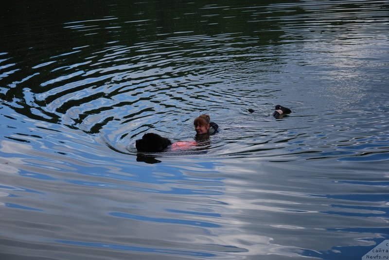 Фотография № 129103