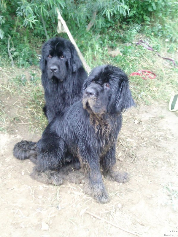 Фотография № 129137