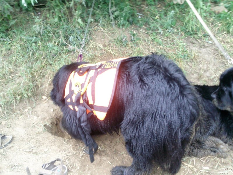 Фотография № 129138