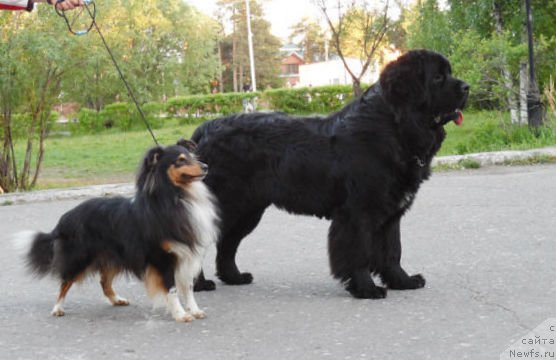 Фотография № 129140